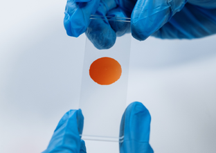 Centro Óptico Sabio